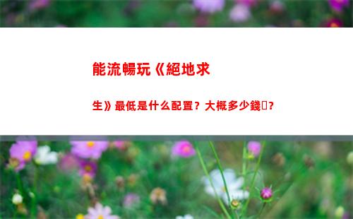 能流暢玩《絕地求生》最低是什么配置？大概多少錢？(玩絕地求生畫面不流暢)